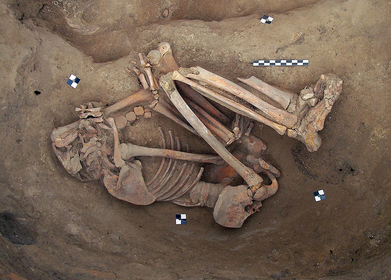Headless primary skeleton of a juvenile from Catalhoyuk in Konya, Türkiye. (Photo via Lori D. Hager)