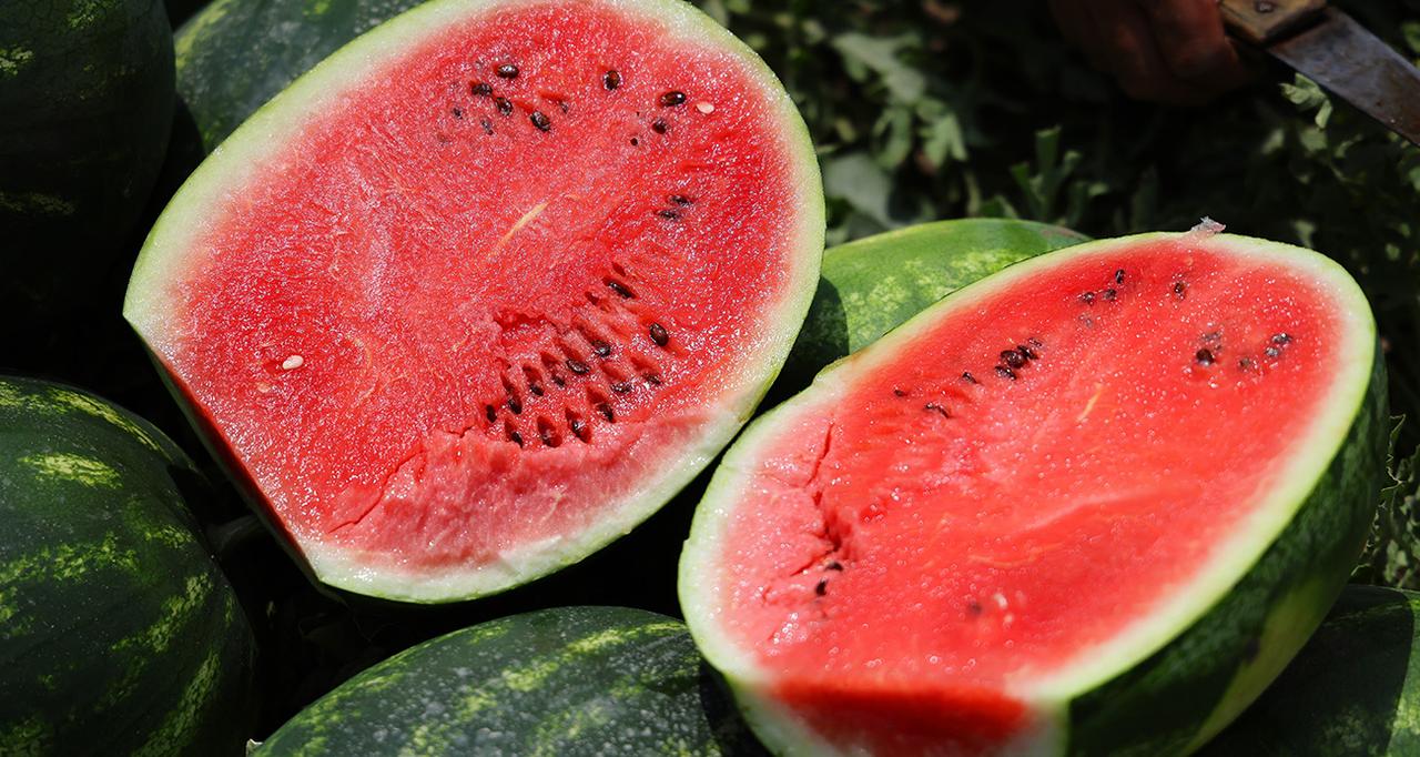 Freshly harvested watermelons on display in a field in Türkiye, accessed on May 23, 2025. (IHA Photo)