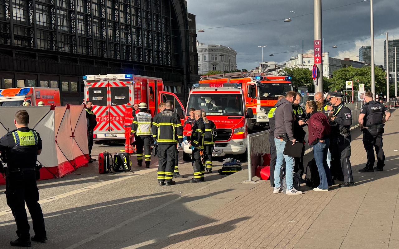 Several injured in knife attack at Hamburg train station, some in critical condition