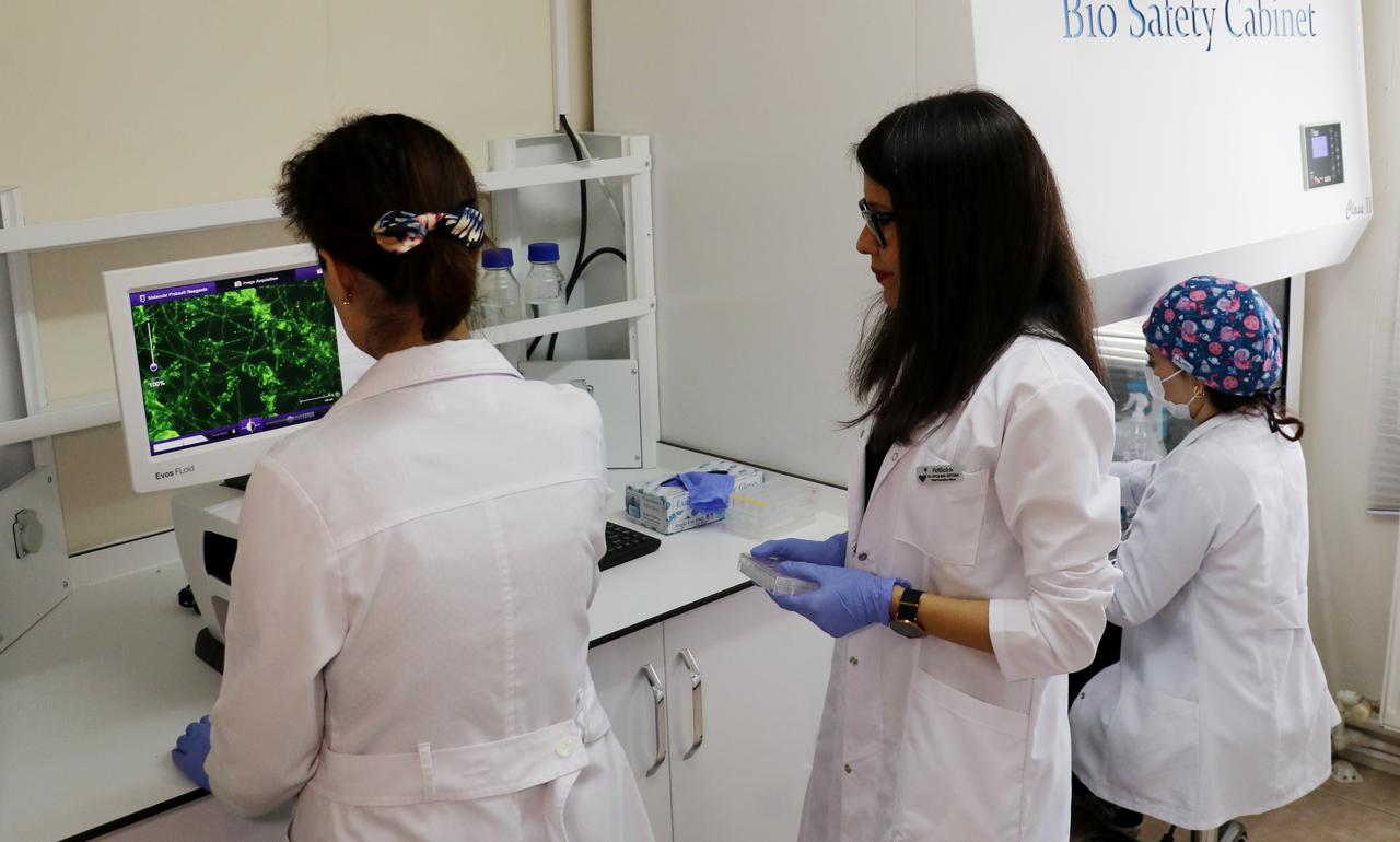 Bioengineering scientist Assoc. Professor Ayca Bal Ozturk works with her team in the laboratory of the biotechnology company she founded with state support, Kocaeli, Türkiye, May 1, 2025. (AA Photo)
