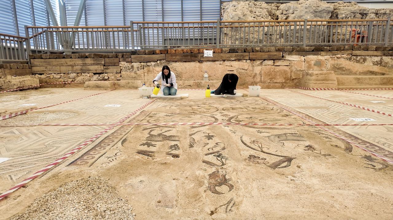 Conservation experts work on a 1,500-year-old floor mosaic, an archaeological treasure known for its intricate geometric patterns and impressive scale, found in the ancient city of Perre in Adiyaman, Türkiye, May 30, 2025. (AA Photo)