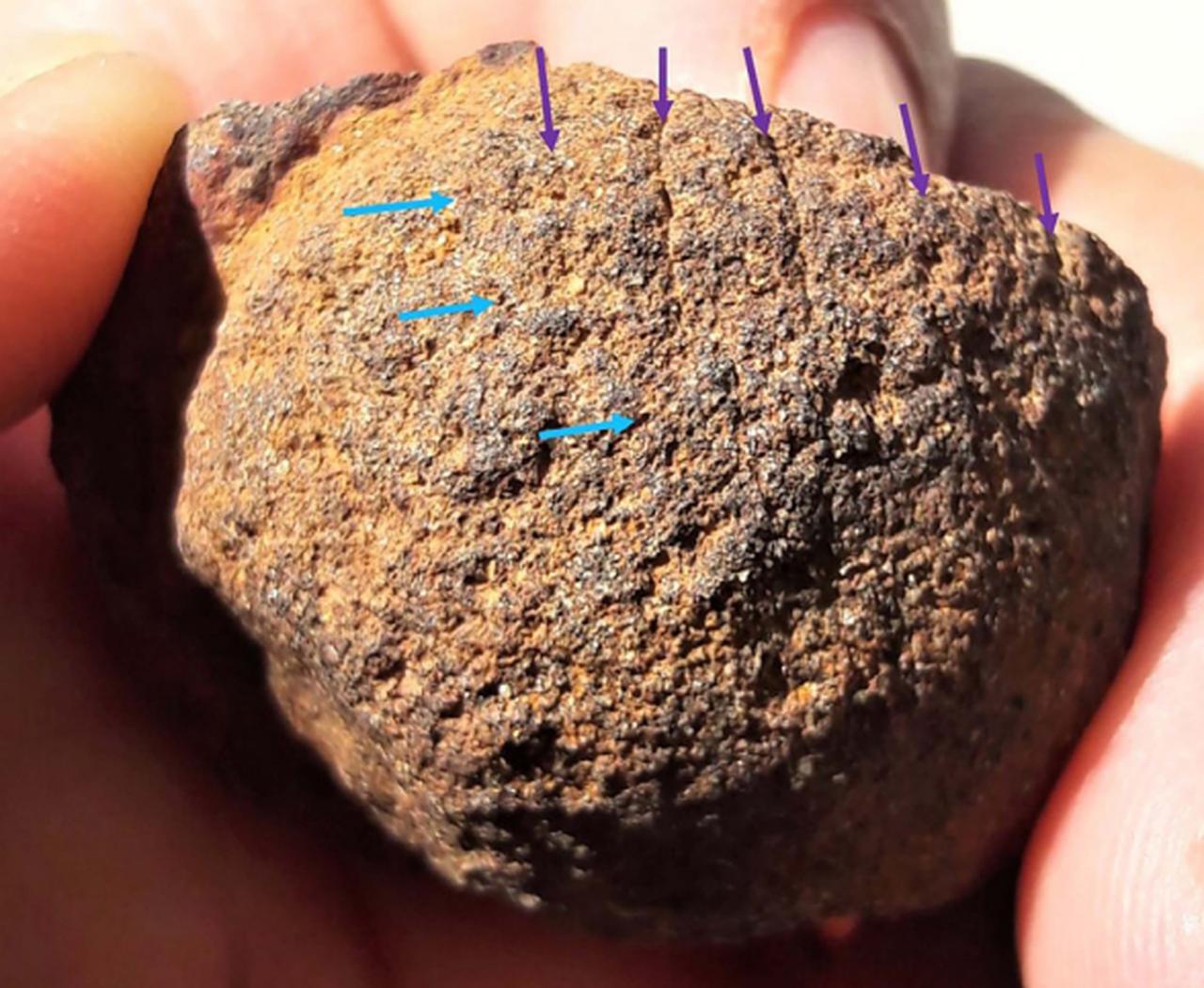 Possible hair depictions on the back of the head of the Kizilin 1 Figurine. (Photo via Professor Metin Kartal)