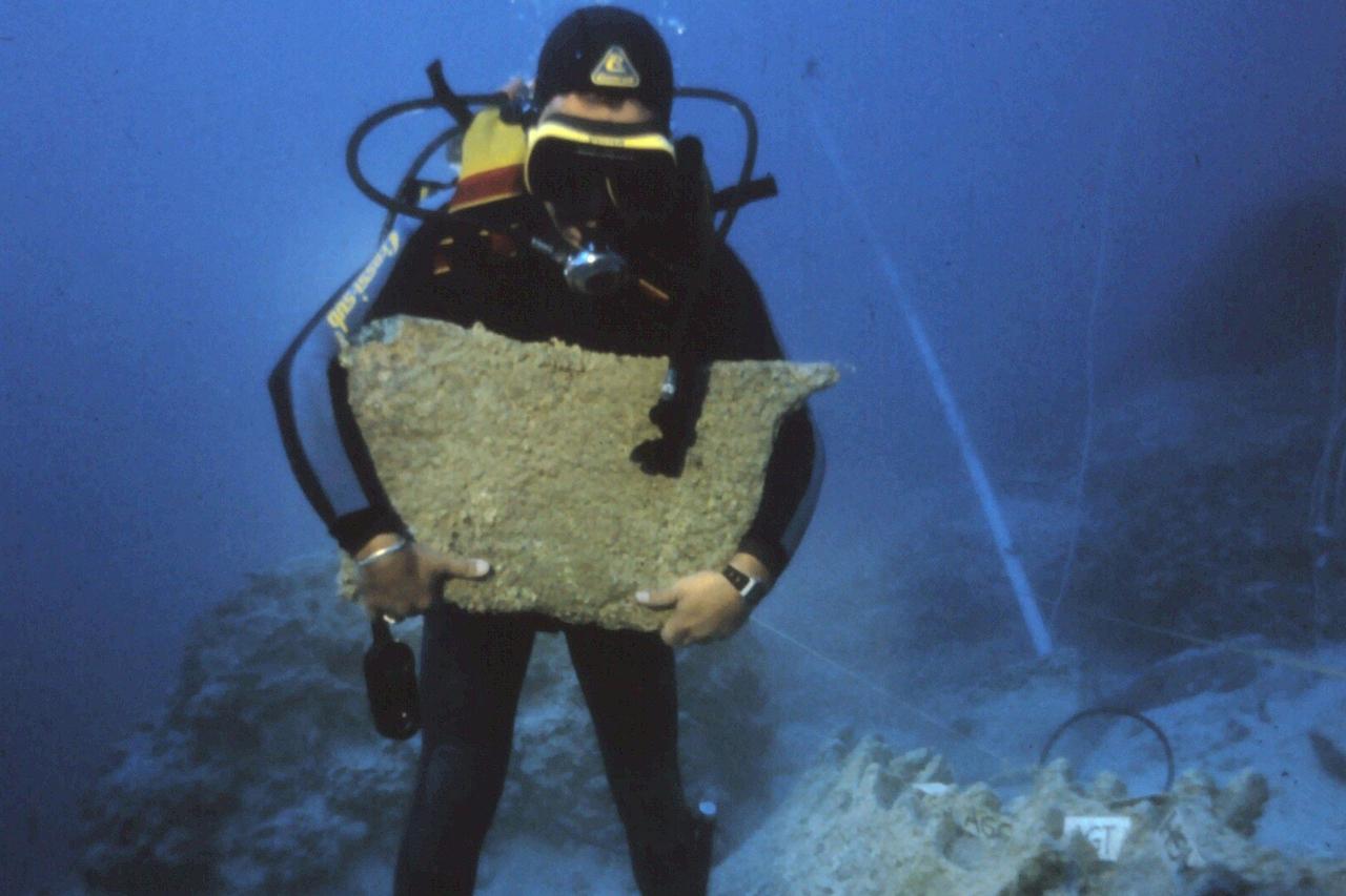 Türkiye's Uluburun excavation images showing copper oxhide ingots. (Photo via Cemal Pulak/Texas A&M University)