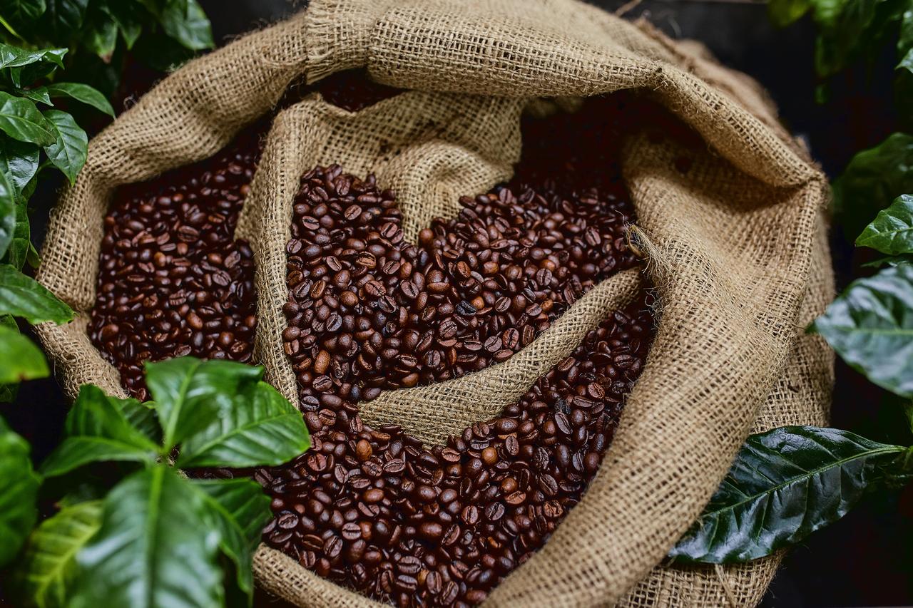 Türkiye cuts coffee tariffs on least developed countries to ease price pressure
