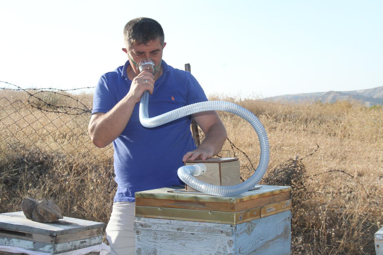 Apitherapy—a branch of alternative medicine using bee products—is gaining renewed interest, particularly in Türkiyes Aegean region. (IHA)