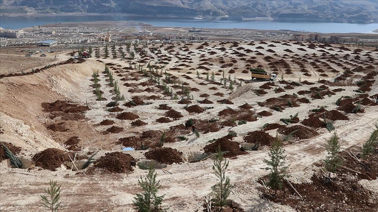 Workers plant saplings across a sloped terrain as part of an afforestation project near a dam basin in southeastern Türkiye, accessed on June 15, 2025. (AA Photo)