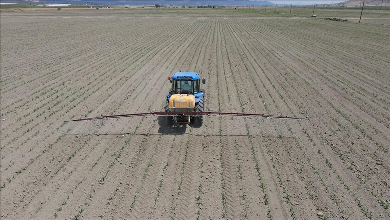 A tractor sprays fertilizer across a newly planted field in central Türkiye, accessed on June 15, 2025. (AA Photo)