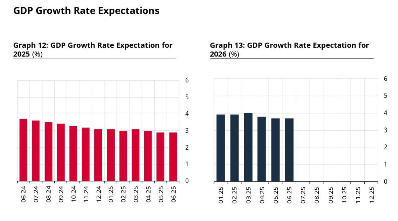 Bar charts show market participants’ expectations for Türkiye’s GDP growth, with the 2025 forecast gradually declining to 2.9% and the 2026 projection holding steady at 3.7% as of June 2025, accessed on June 16, 2025. (Chart via CBRT)