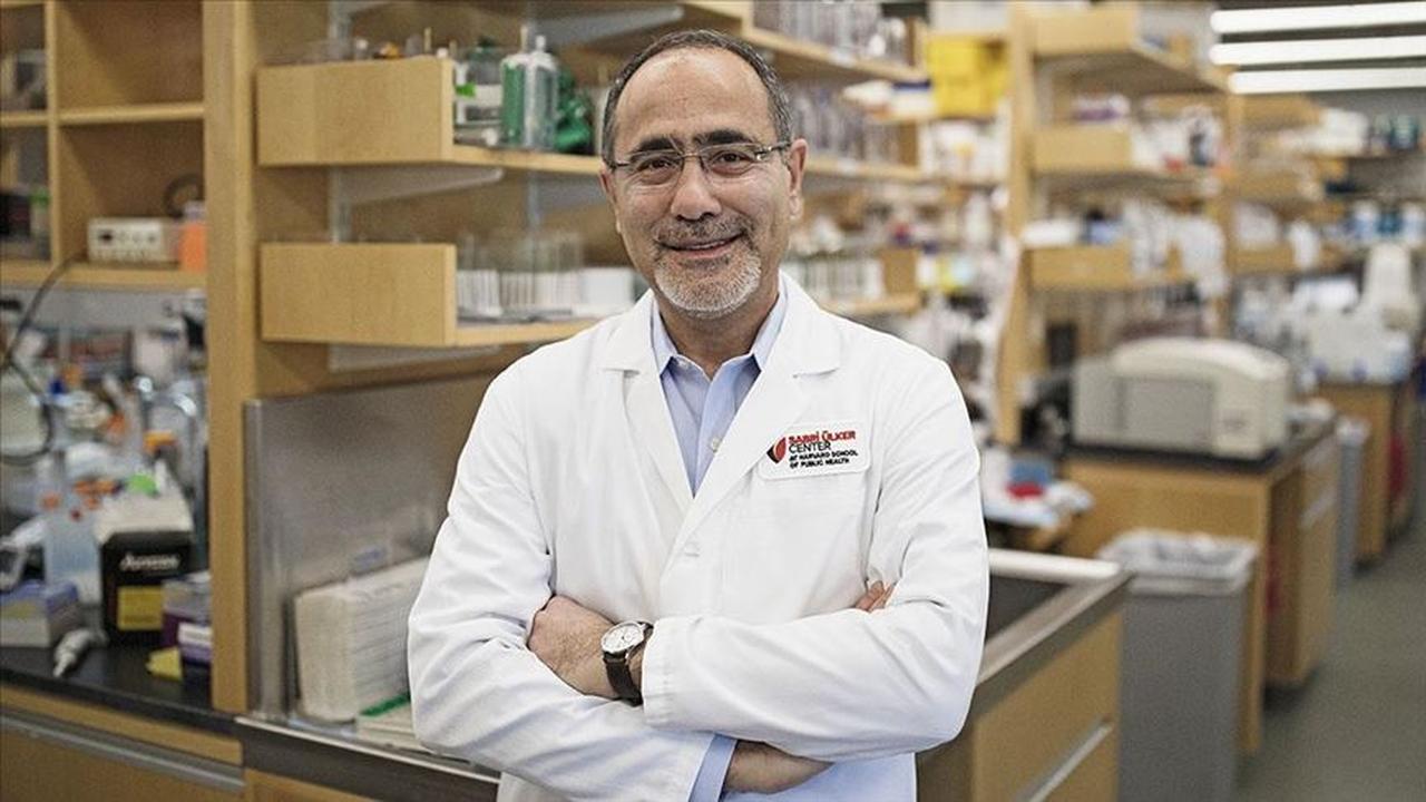 Professor Gokhan Hotamisligil, head of the metabolism research lab at Harvard T.H. Chan School of Public Health, accessed on June 16, 2025. (AA Photo)