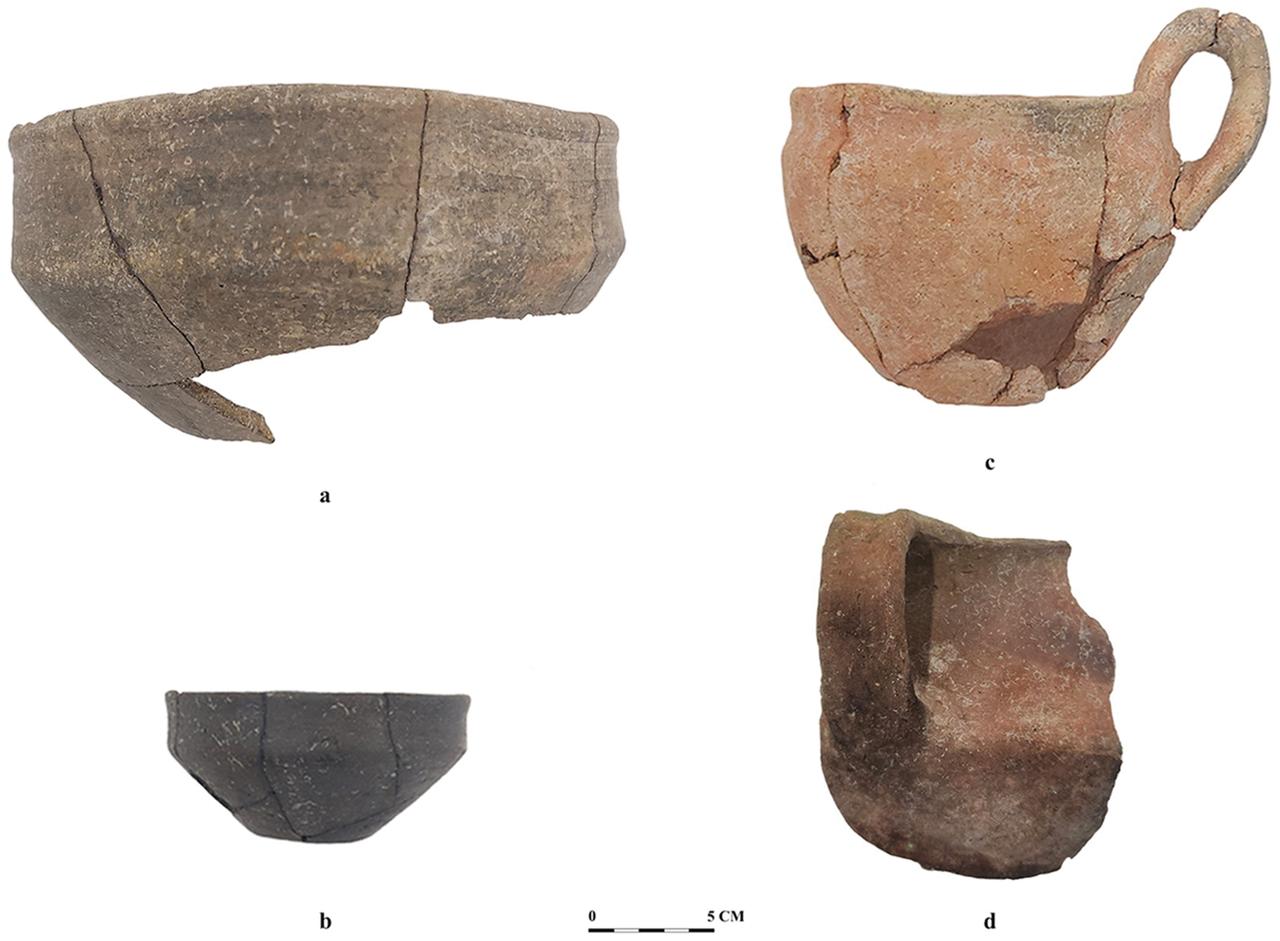 Bowls (a–b) and handled cups (c–d) recovered from Pit 1 at Liman Tepe, Izmir, Türkiye, February 2025. (Photo via Cambridge Archaeological Journal)