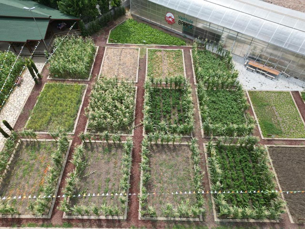 Yedikule gardens is located in Istanbuls Fatih district. (Courtesy of Fatih municipality)
