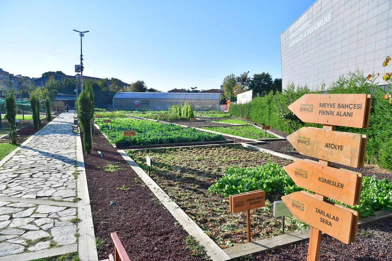 Yedikule gardens is located in Istanbul's Fatih district. (Courtesy of Fatih municipality)