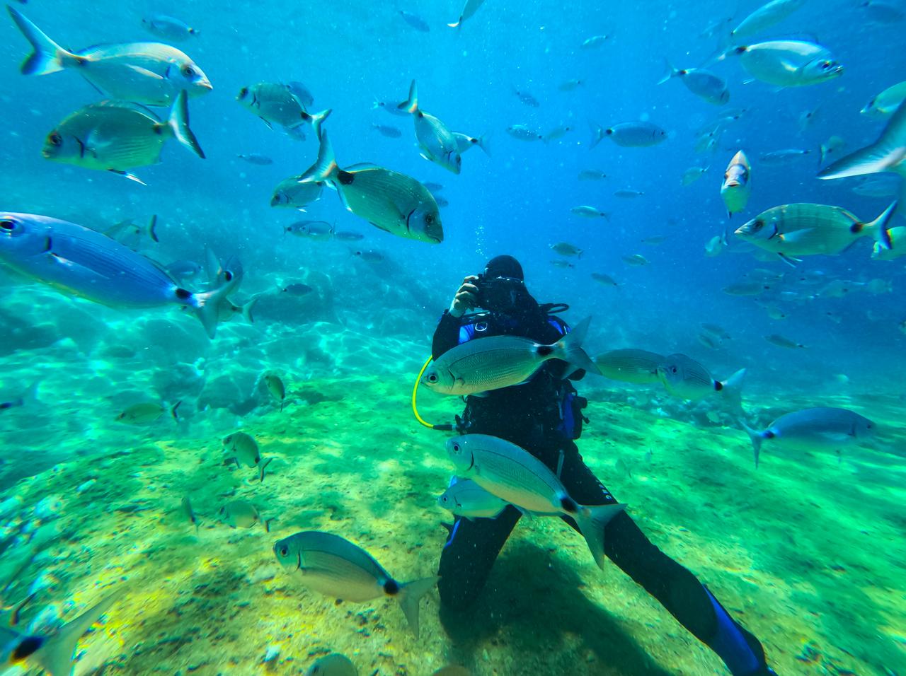 A diver explores the underwater beauty of Dalyan and Sariyarlar Bay in Fethiye, Mugla, Türkiye, May 30, 2025. (AA Photo)