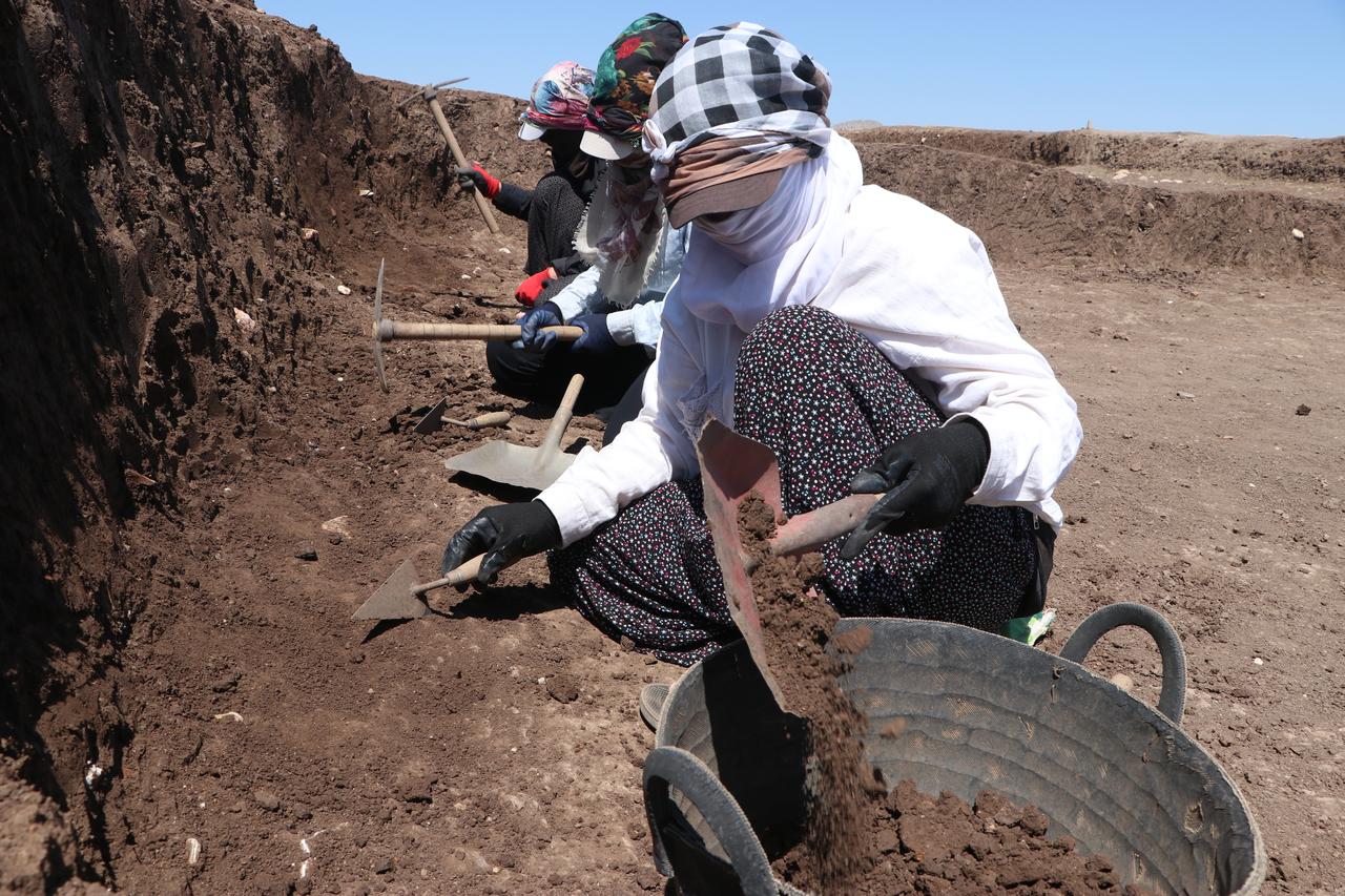 In the Ergani district of Diyarbakir, Türkiye, 32 seasonal female agricultural workers are taking part in the archaeological excavation at the 12,000-year-old site of Cayonu Tepesi, which sheds light on the history of world civilization, June 19, 2025. (AA Photo)