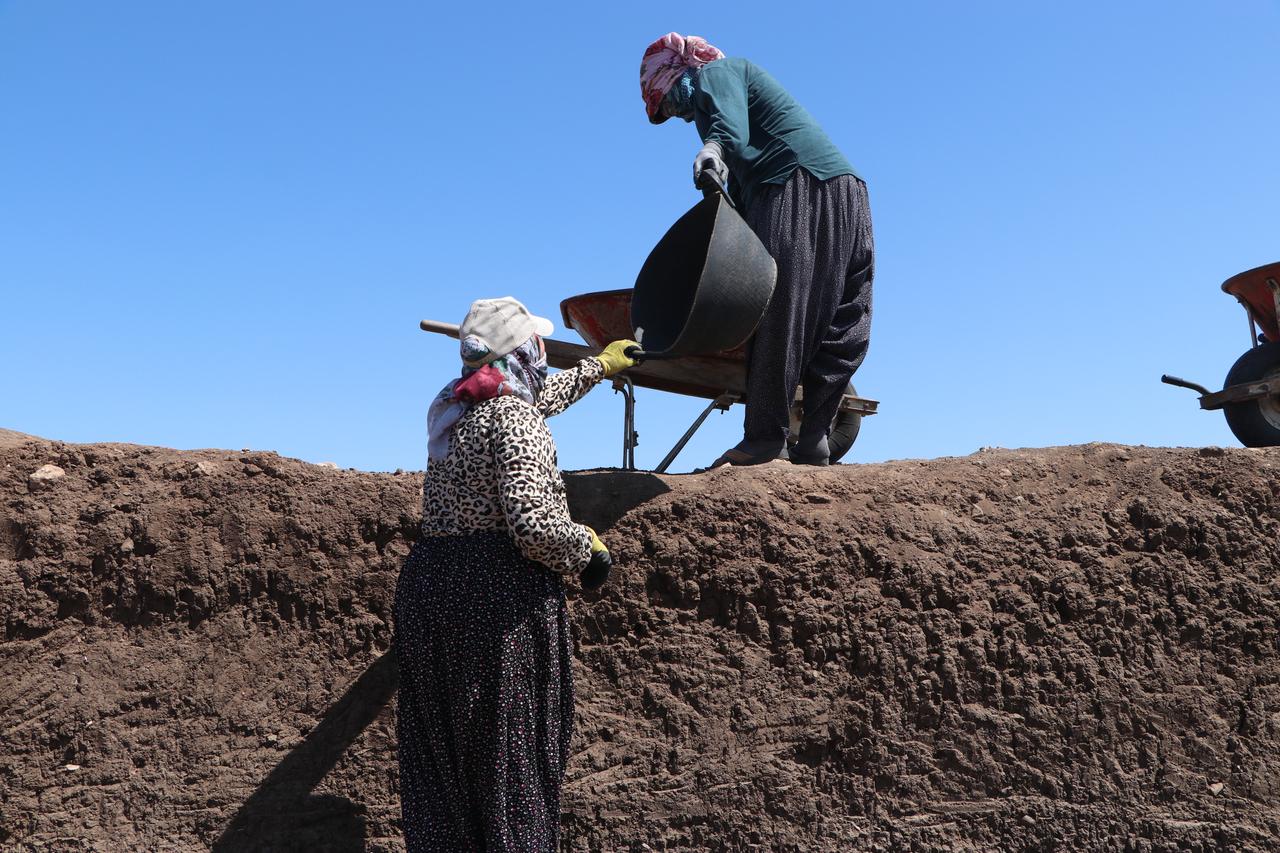 In the Ergani district of Diyarbakir, Türkiye, 32 seasonal female agricultural workers are taking part in the archaeological excavation at the 12,000-year-old site of Cayonu Tepesi, which sheds light on the history of world civilization, June 19, 2025. (AA Photo)