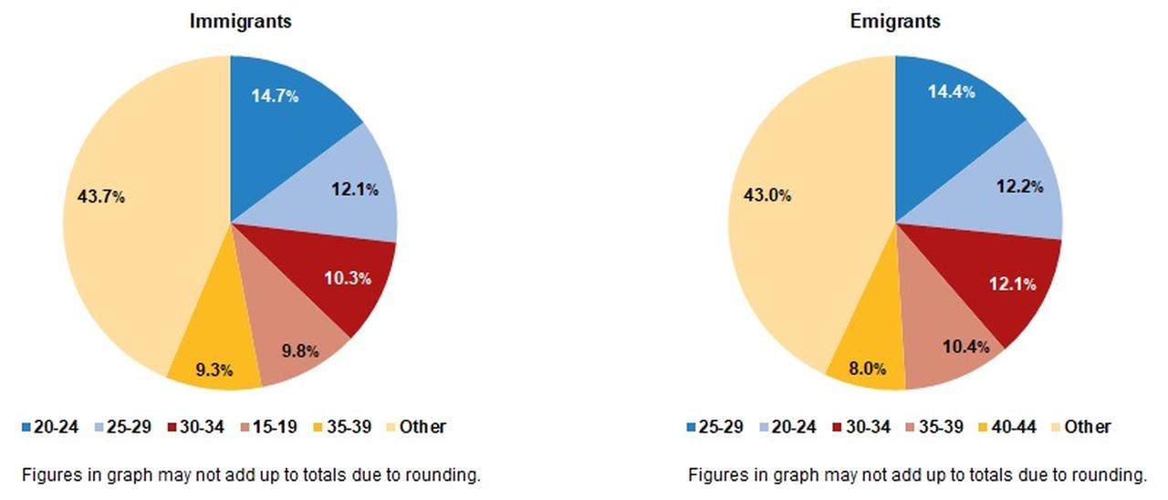 Pie charts present the age breakdown of individuals migrating to and from Türkiye in 2024, accessed on June 24, 2025. (Chart via TurkStat)