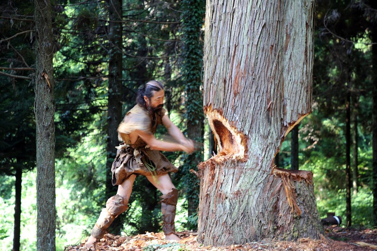 The team crafted the canoe from a real tree using replica Paleolithic tools to ensure historical accuracy. (Photo via Kaifu et al)