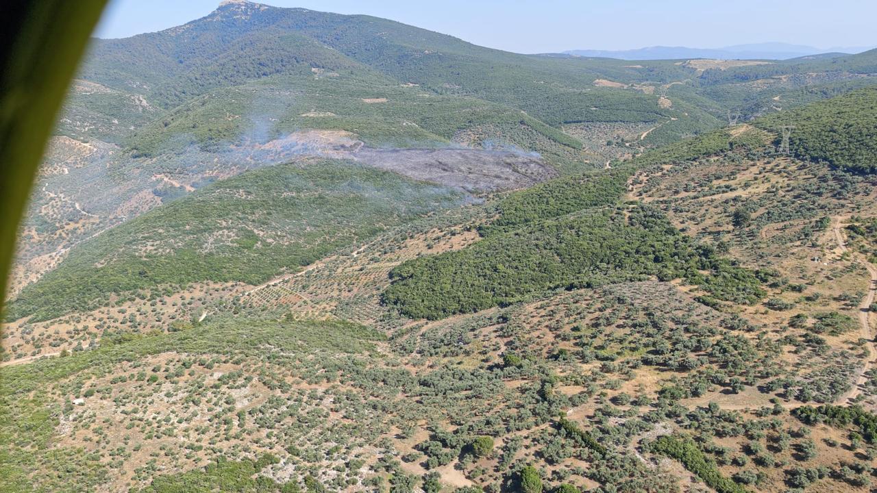The forest fire in Izmir’s Torbali district is being brought under control through aerial and ground intervention, Türkiye, June 25, 2025. (AA Photo)