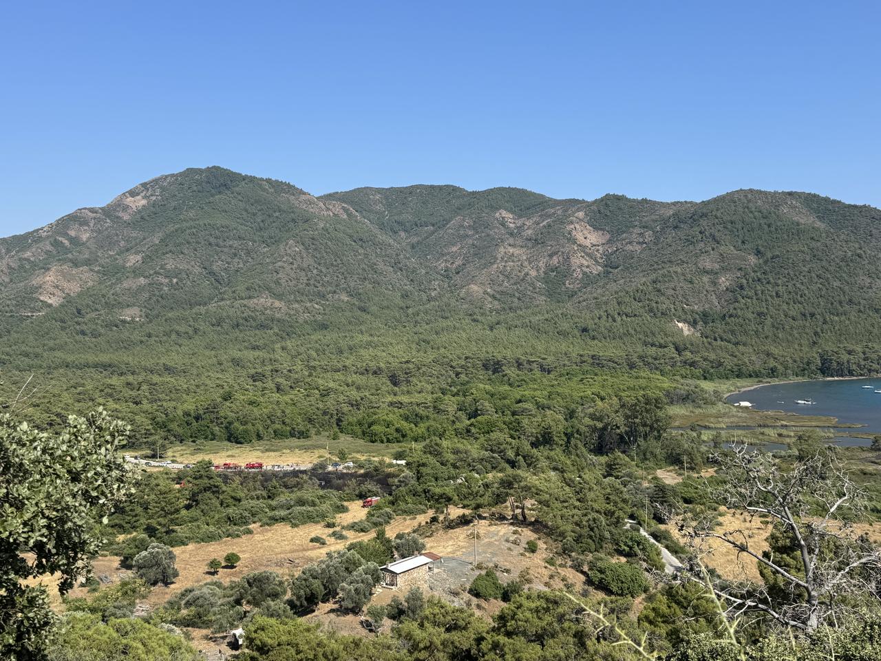 The forest fire in Marmaris district was brought under control after burning several hectares of agricultural and forest land near Adakoy’s Yalancibogaz area, Mugla, Türkiye, June 24, 2025. (AA Photo)