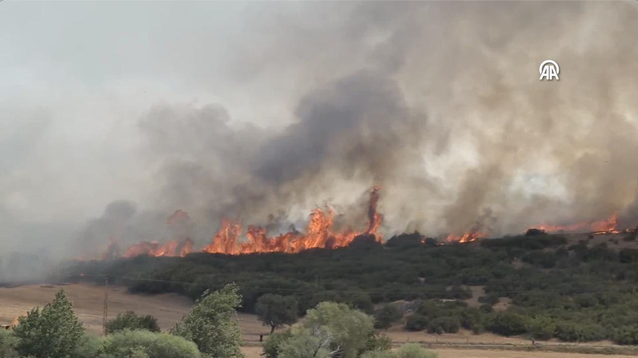 The fire that broke out in an agricultural field in Ezine was tackled by air and ground teams as crews worked to prevent it from spreading to nearby forest land, Canakkale, Türkiye, June 24, 2025. (AA Photo)