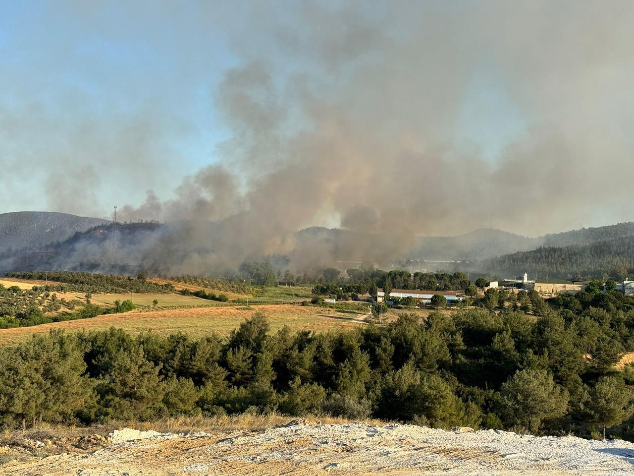 The forest fire that broke out in Osmaneli spread across the D650 highway and reached NATO facilities and a nearby factory before crews launched air and ground efforts to contain it, Bilecik, Türkiye, June 25, 2025. (IHA Photo)