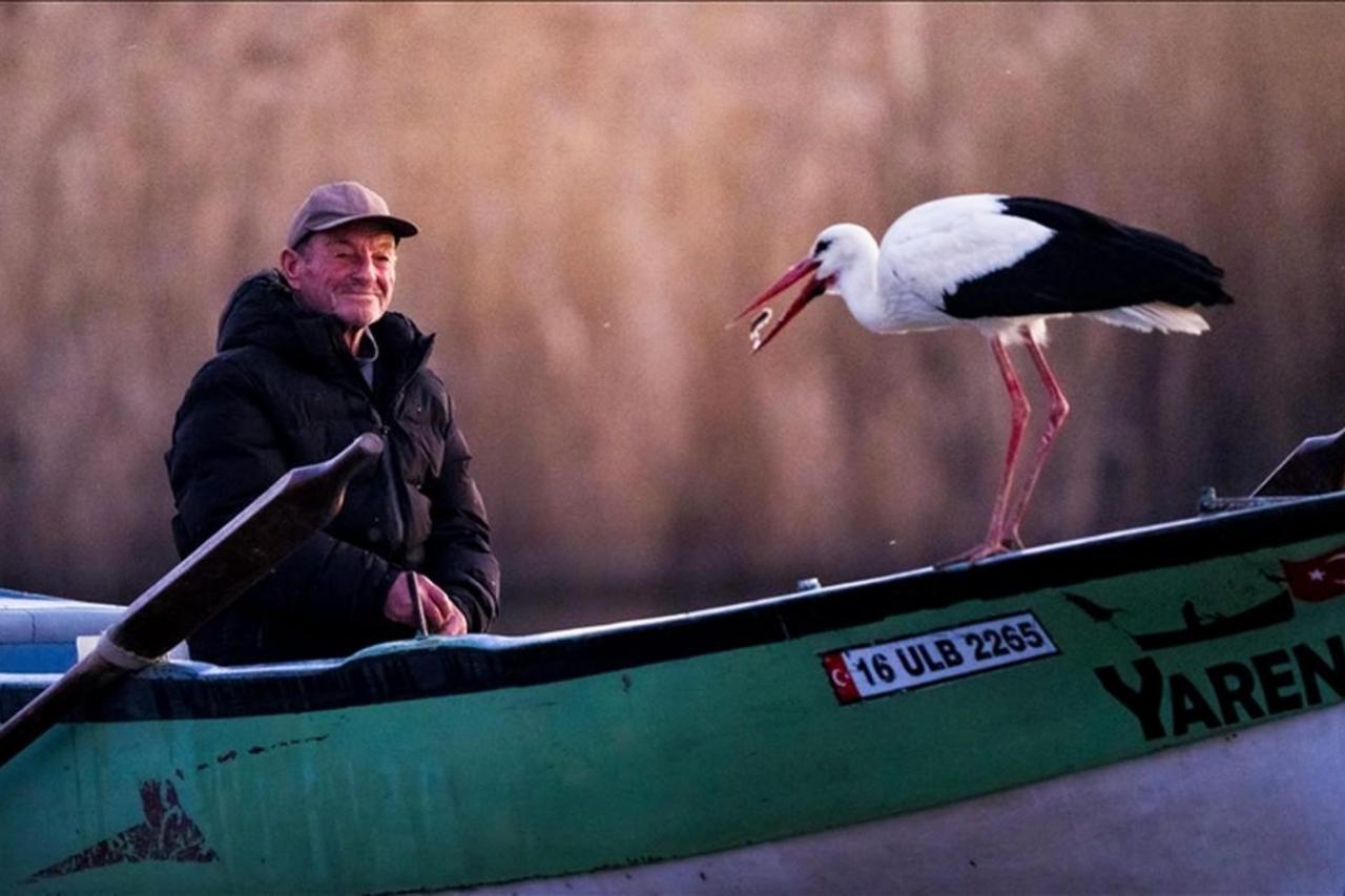 Yaren the stork perched about the fishing boat of Adem in Bursa province completing their 14th consecutive year together, Türkiye, March 15, 2025. (AA Photo)