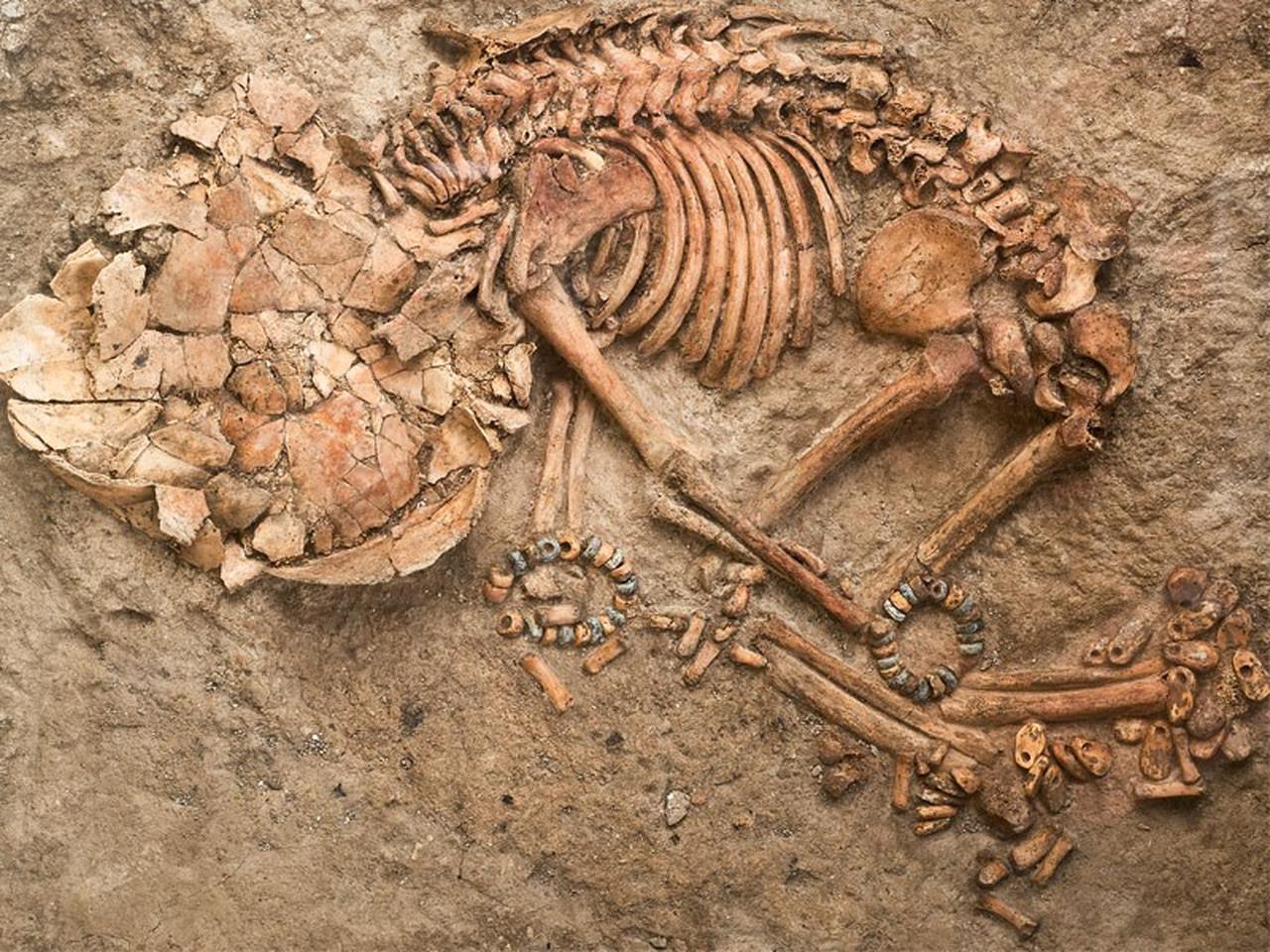 Skeletons of individuals buried inside the houses found at Catalhoyuk in Konya's Cumra district, Türkiye. (Photo via the Ministry of Culture and Tourism)