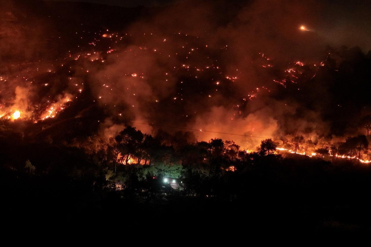 Türkiye imposes forest access bans in 47 provinces due to high wildfire risk Image