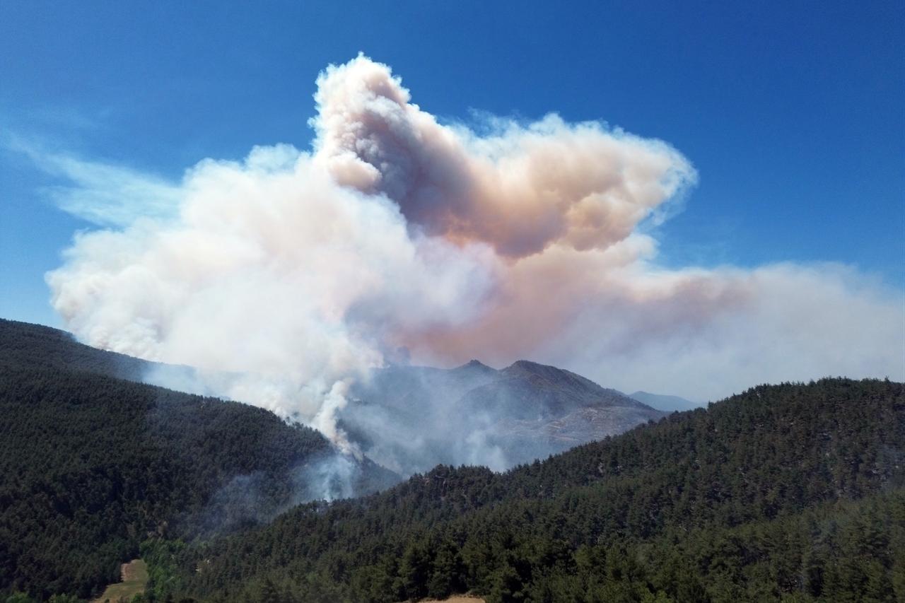 Wildfire in Türkiye spreads from Sakarya to Bilecik: Hundreds evacuated  Image