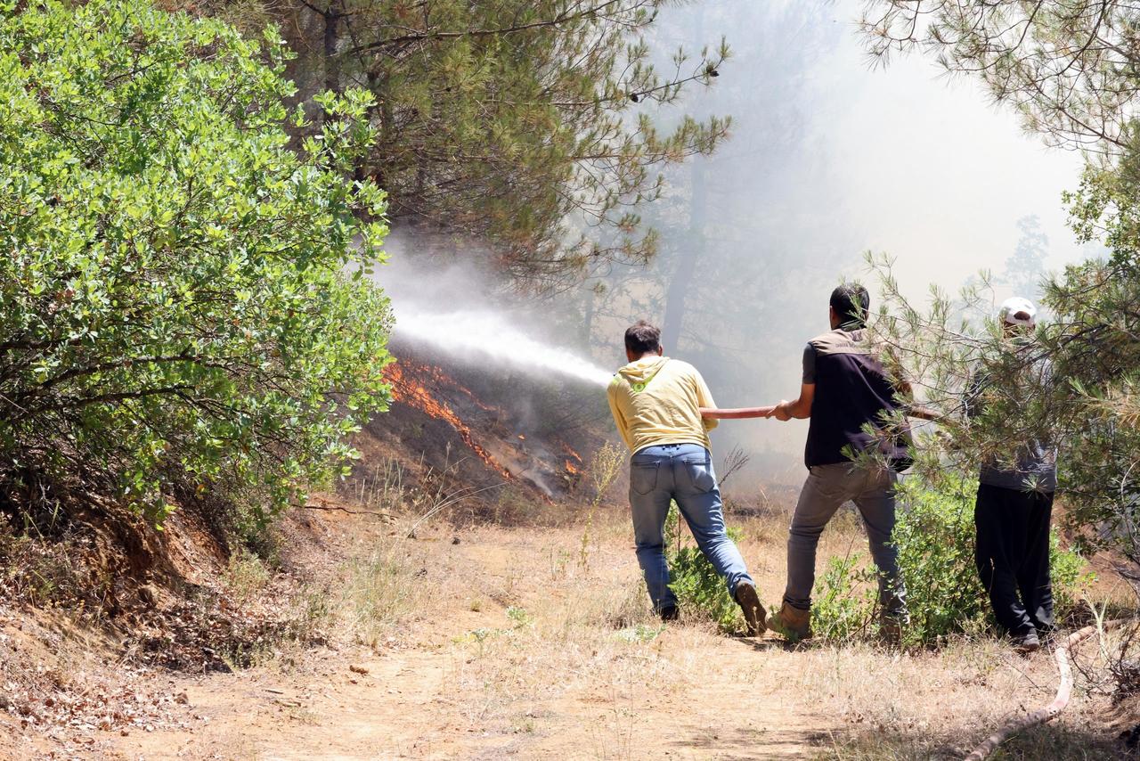 An aerial view shows scorched forest land as firefighting efforts continue with 700 personnel, 200 vehicles, 10 fire trucks from Sakarya Metropolitan Municipality, and 11 helicopters battling the wildfire that began in Tarakli, Sakarya and spread toward the Bilecik border due to strong winds, Tarakli, Sakarya, Turkiye, June 28, 2025. (IHA Photo)