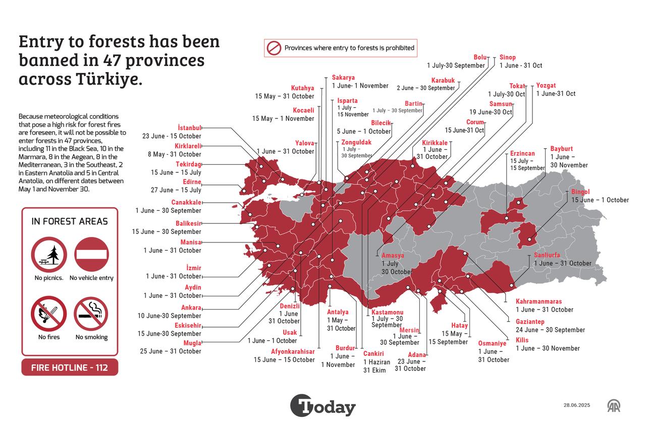 Türkiye imposes forest access bans in 47 provinces due to high wildfire risk