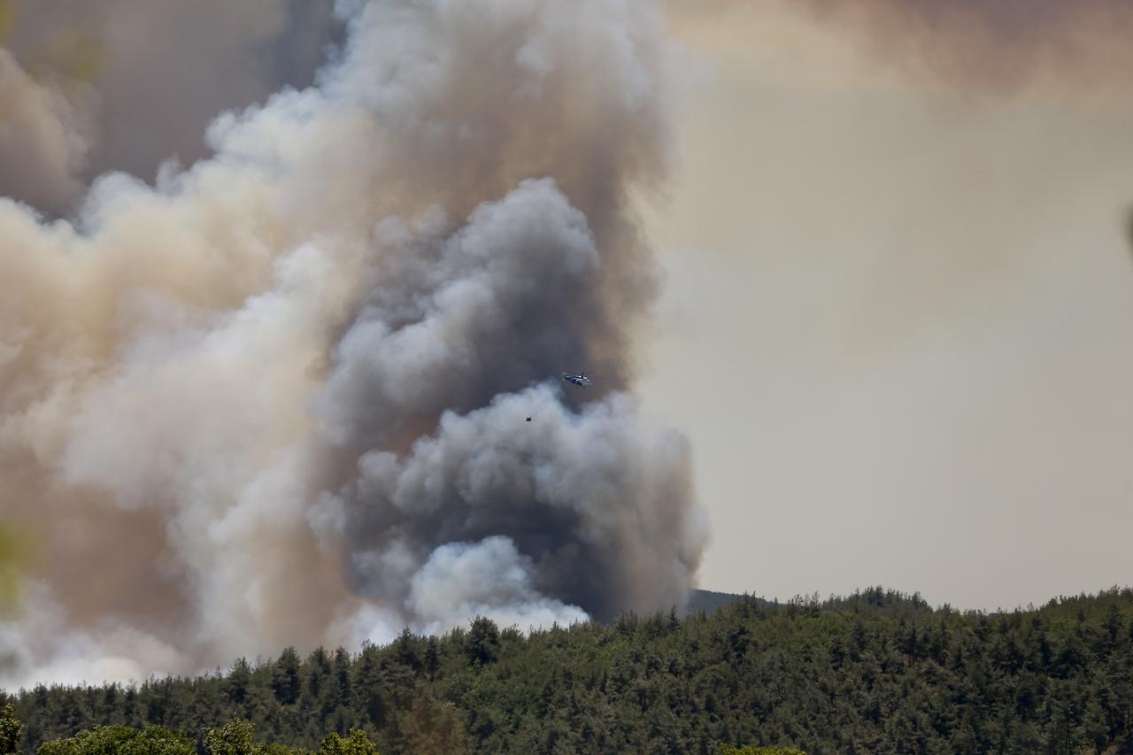 A wildfire that broke out in a forested area is being tackled both from the air and the ground in Tarakli, Sakarya, Türkiye, June 27, 2025. (AA Photo)