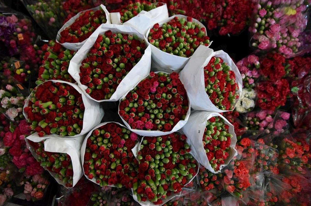 Flowers grown in greenhouses in Antalya, Izmir, Sakarya, and Yalova are being prepared to be sent to world capitals for New Year celebrations, Türkiye, December 19, 2024. (AA Photo)