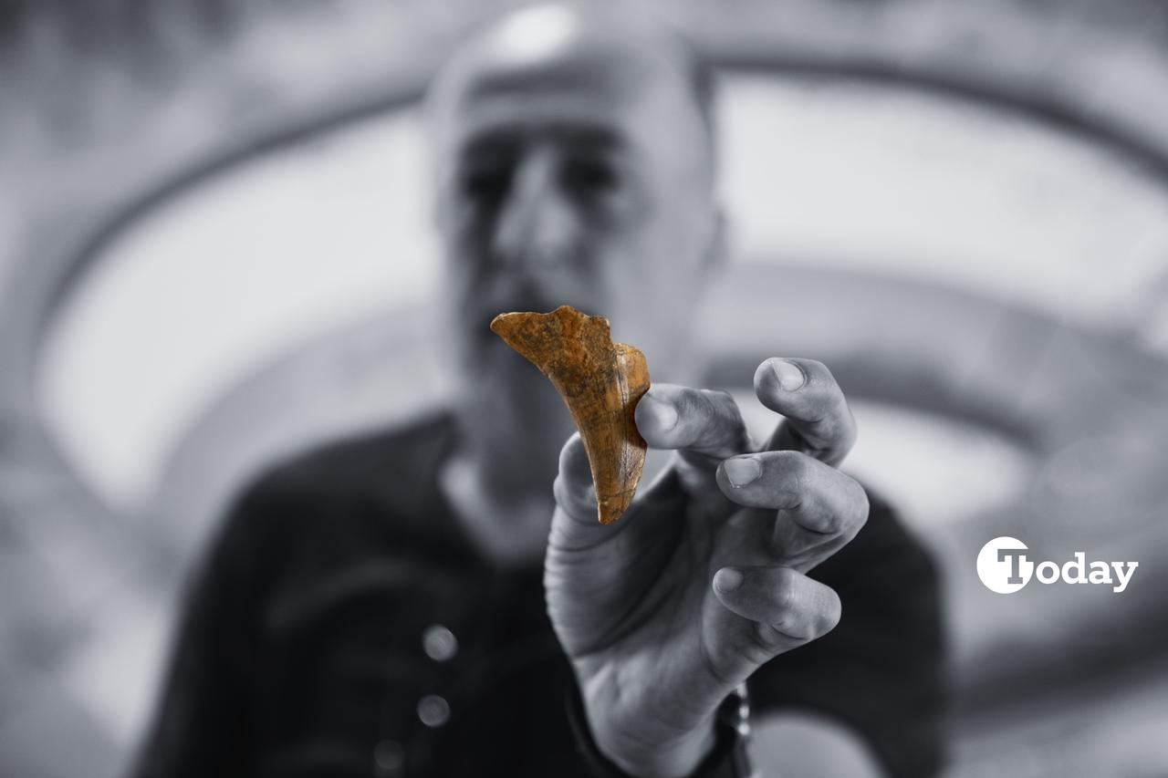 Sea monster ‘Mosasaurus’ in Türkiye? How a 1999 find rewrote paleomap – Türkiye Today