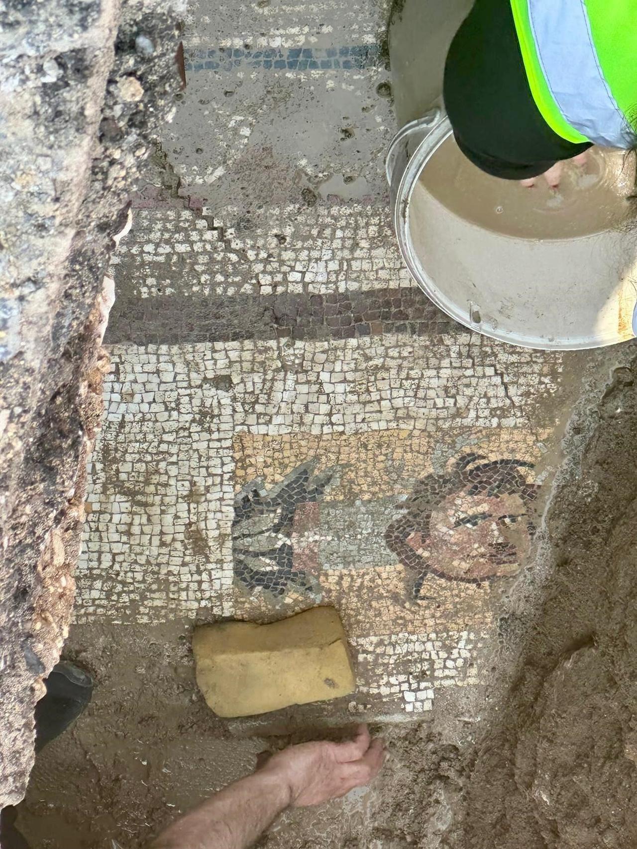 The floor mosaic discovered during ongoing infrastructure works in the Dulkadiroglu district of Kahramanmaras, Türkiye, June 7, 2025. (IHA Photo)
