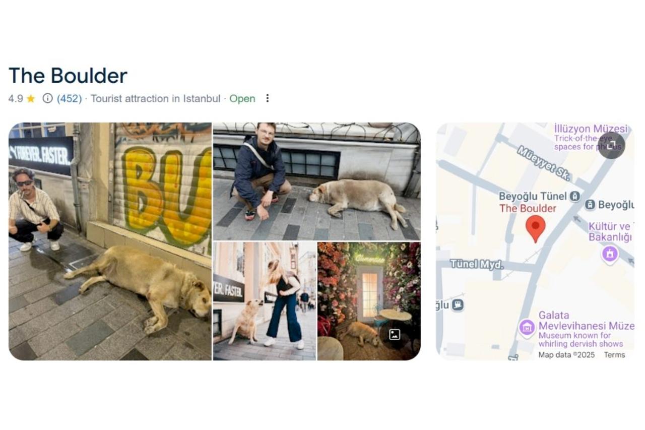 Google Maps listing for The Boulder shows the stray dog’s location near Sishane metro in central Istanbul, with over 450 reviews and a 4.9-star rating, Türkiye, Jun. 2025. (Photo via Instagram / @theboulderistanbul)