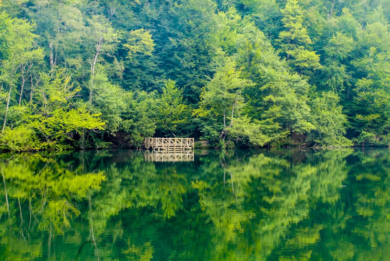 A view of the beautiful lake hidden in the Yedigoller forest, Bolu, Türkiye, accessed Jul. 1, 2025. (Adobe Stock Photo)