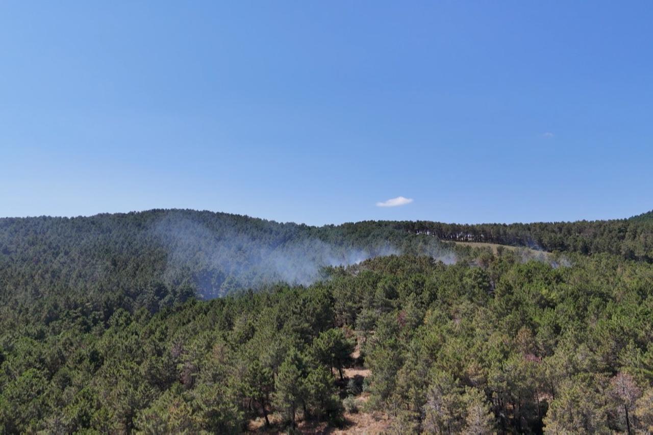 Wildfire in Istanbul's Aydos forest brought under control Image
