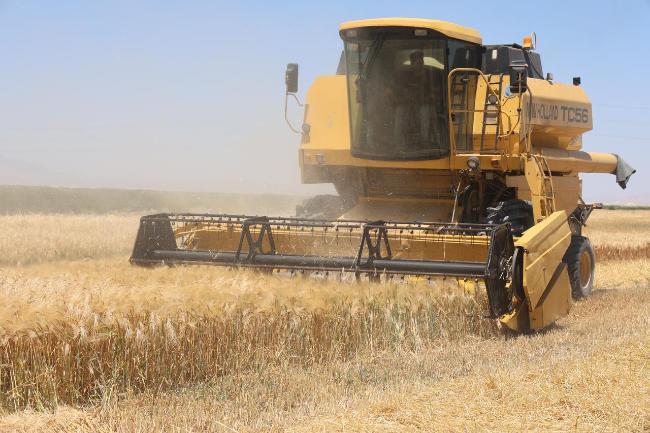 A combine harvester cuts through a wheat field in Konya, Türkiye. (IHA Photo)