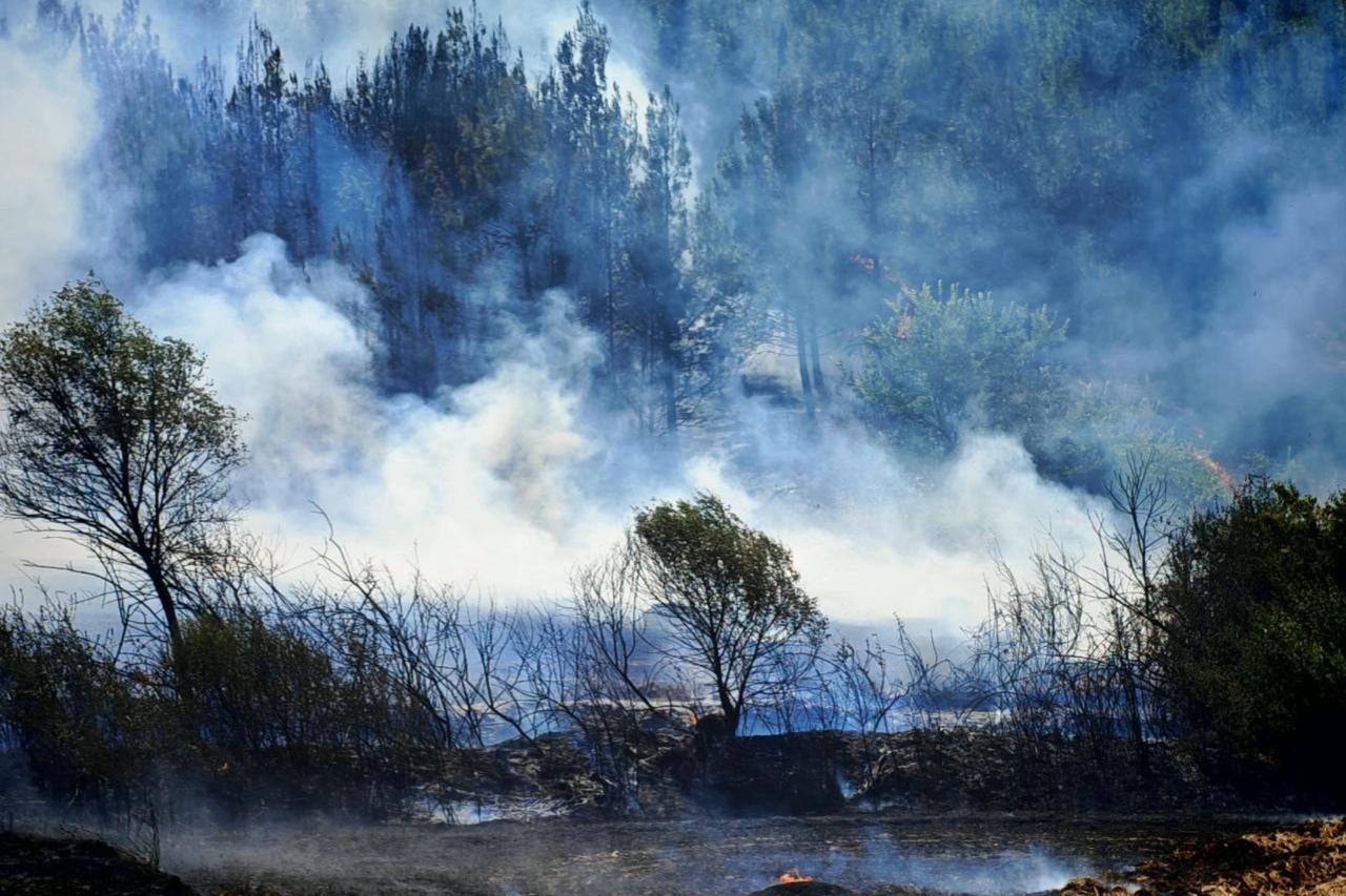 Wildfire spreads in Türkiye’s Edirne as crews battle flames by air, ground Image