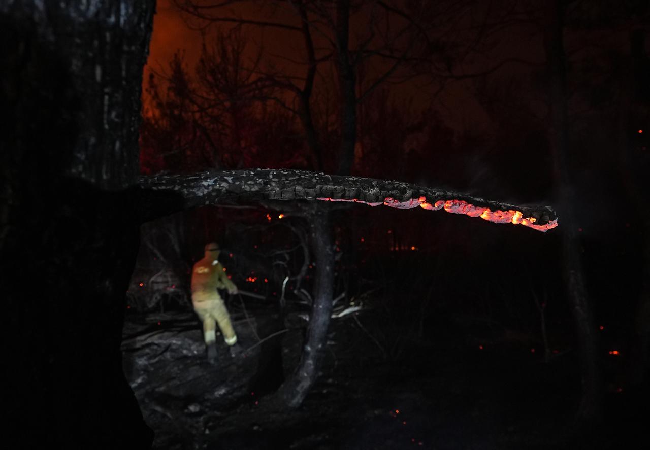 Teams respond to the forest fire that breaks out in Sarkoy district of Tekirdag and spreads to the Gelibolu district of Canakkale, Türkiye, July 16, 2025. (AA Photo)