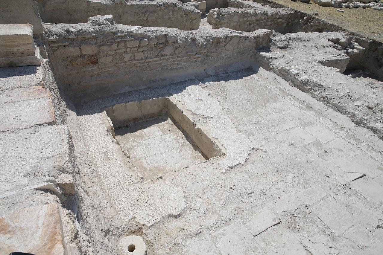 What makes newly discovered Türkiye's Tripolis villa stand out among Roman homes? Image
