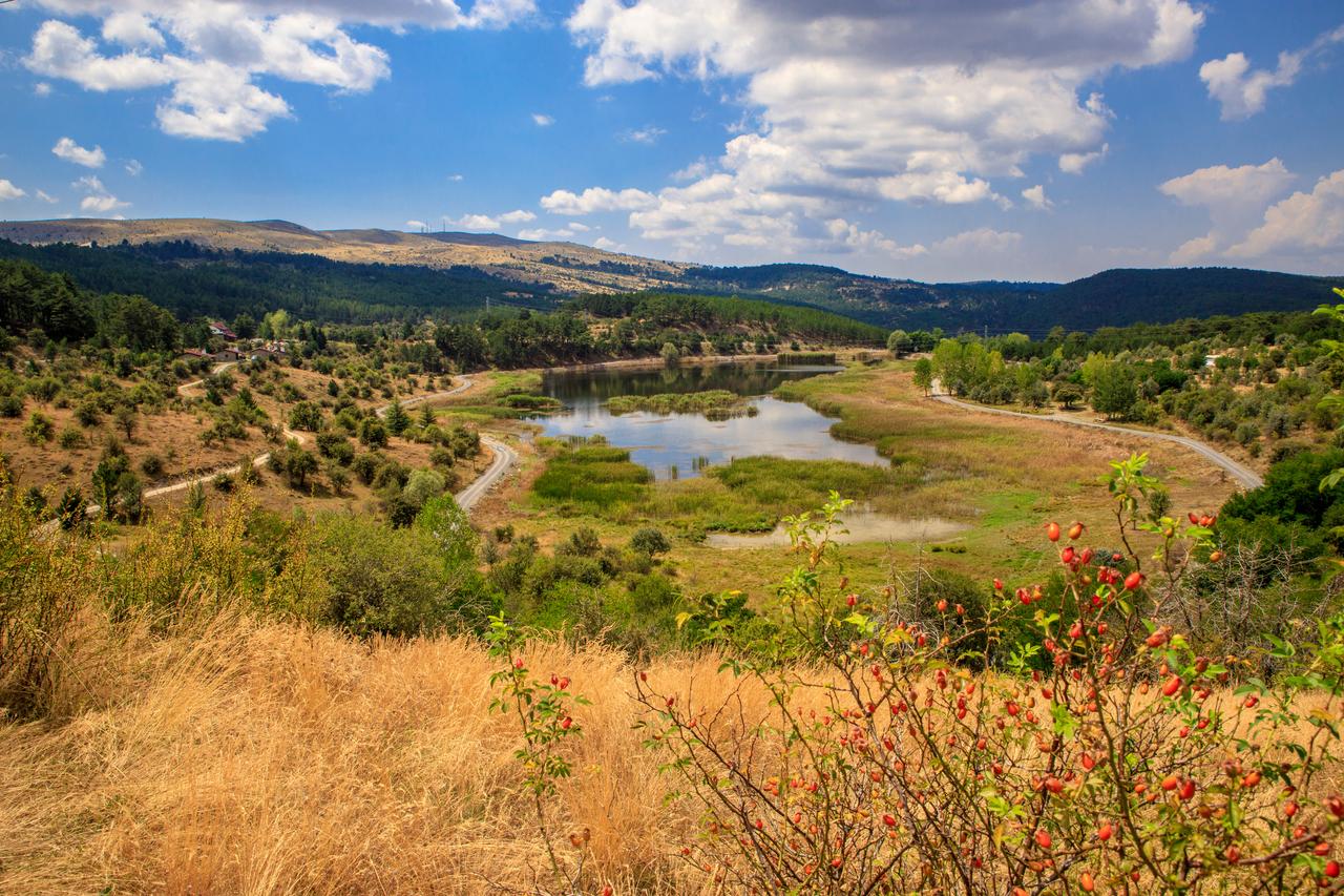 Golden fields and vibrant frame of serene Karagol lake in Bolu's beautiful Nature Park. (Adobe Stock Photo)