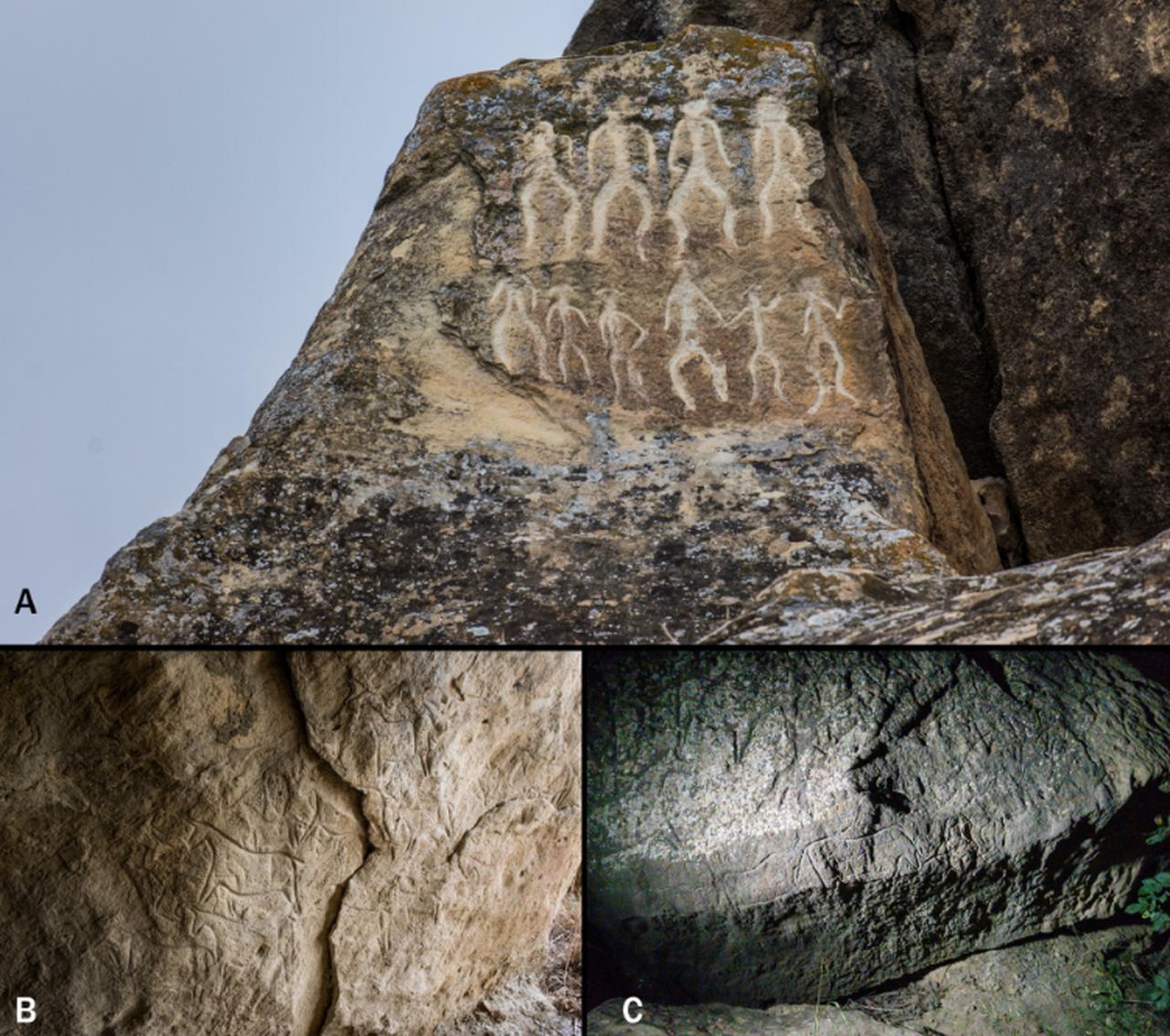 (A) The anthropomorphic figures of Rock No. 67 of Boyukdas. They are displayed in two main rows, framing them into the panel. Some of the graphic units have a headgear; (B) A series of horse figures, all oriented to the west, towards the sheltered area. Boyukdas, Rock No. 46; (C) A hunting scene to aurochs on Rock No. 45 in Boyukdas. (Photos via D. Sigari)