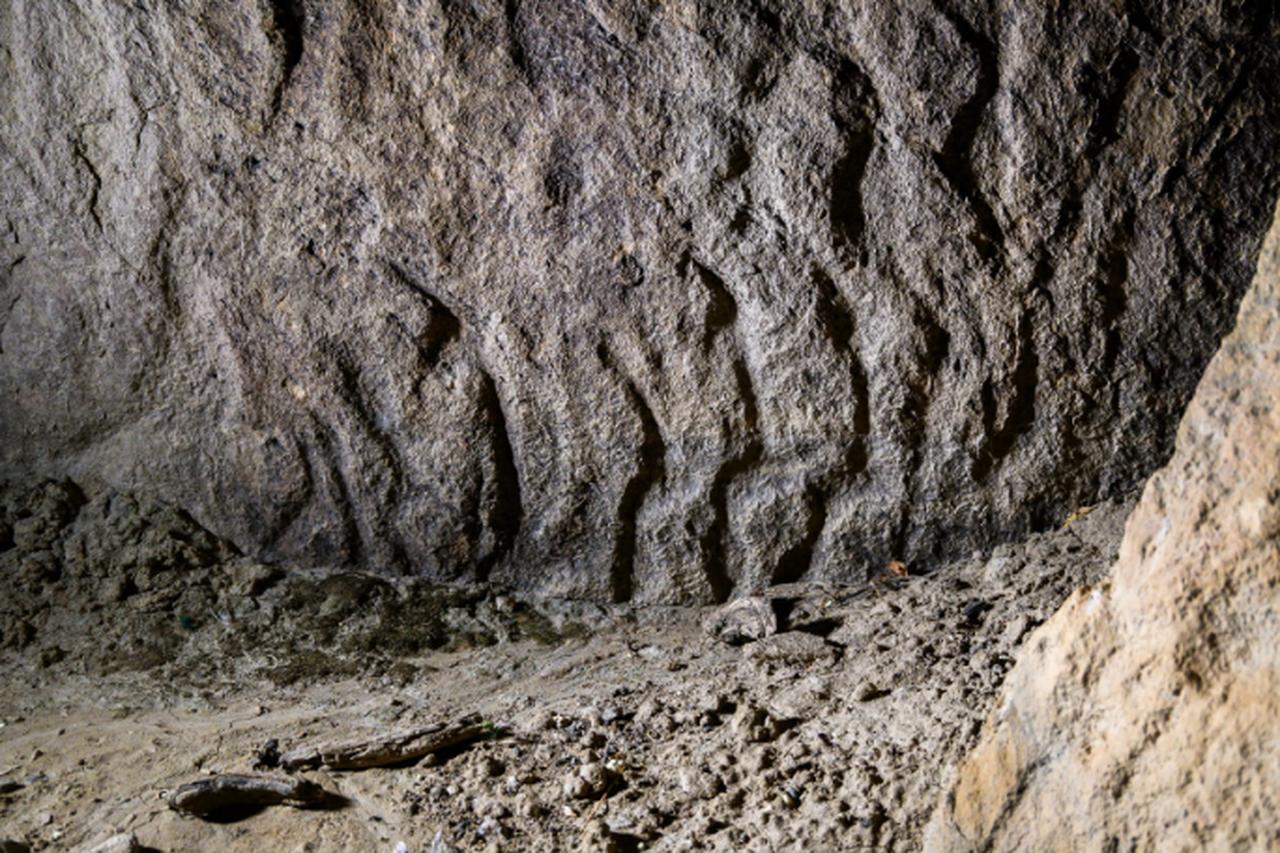 The female silhouettes of Rock No. 29; they are  displayed in row and are partially covered by the ground, suggesting they can be among the earliest figures of the panel. (Photo via D. Sigari)