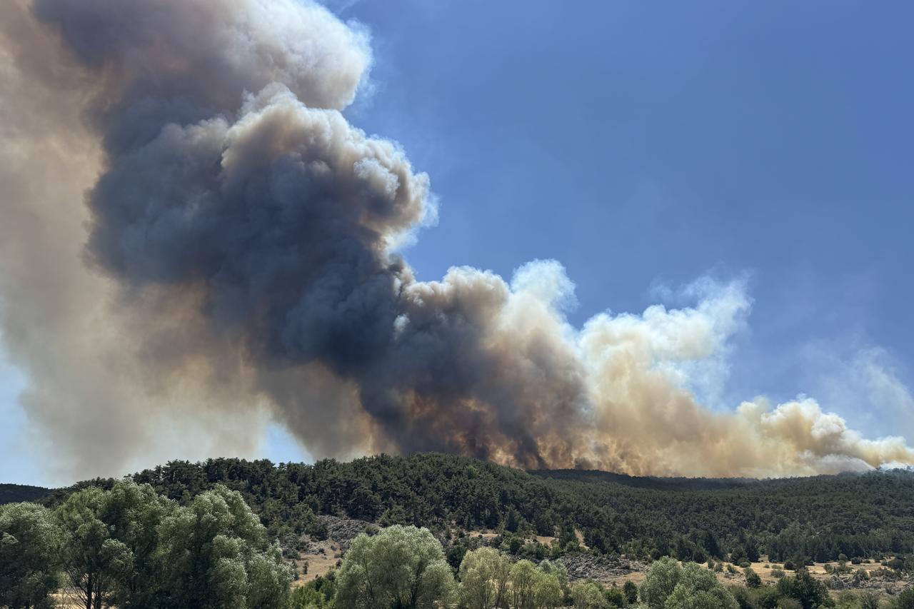 10 forest personnel, volunteers die battling wildfire in Türkiye's Eskisehir Image