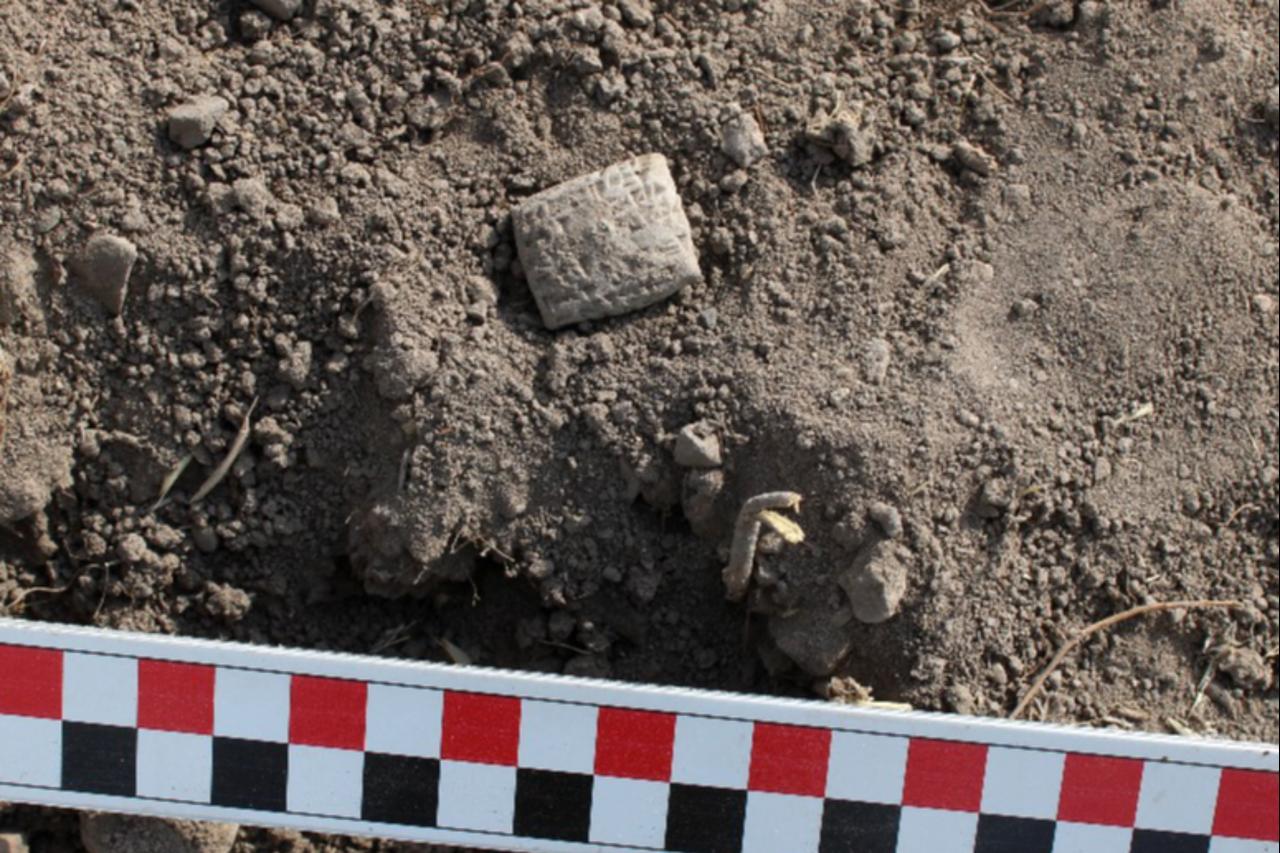Ancient 'bird oracle text' unearthed at Hittite site in central Türkiye Image