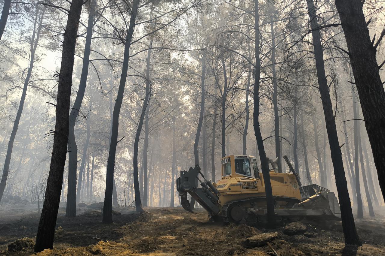 Efforts underway to contain a wildfire in a forested area in Aksu district of Antalya, Türkiye, July 25, 2025. (AA Photo)