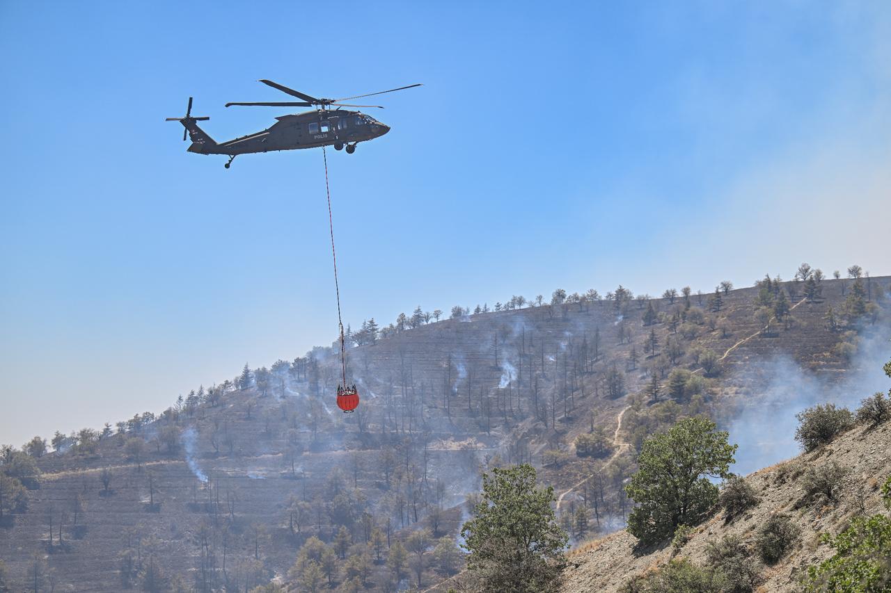 Firefighters battle forest blaze near Ankara's Eymir Lake Image