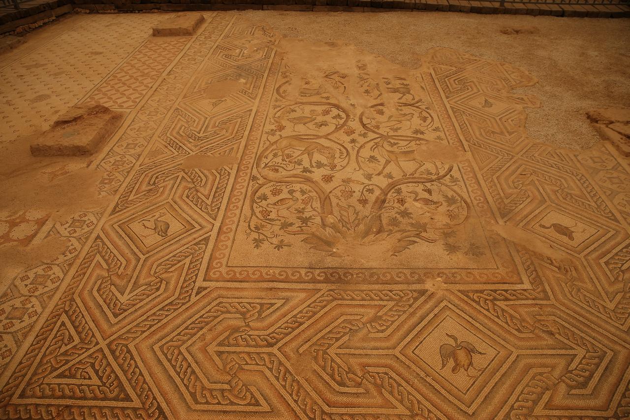 A 125-square-meter mosaic preserved in one piece in the ancient city of Perre, one of the five major cities of the Kingdom of Commagene, is reopened to visitors following cleaning and conservation work, Adiyaman, Türkiye, July 26, 2025. (AA Photo)